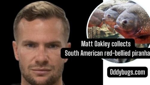 Matt Oakley