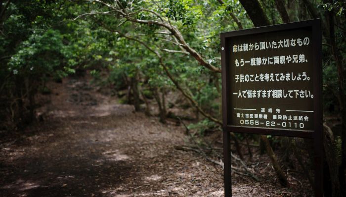 Aokigahara Forest