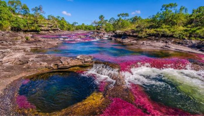 Caño Cristales