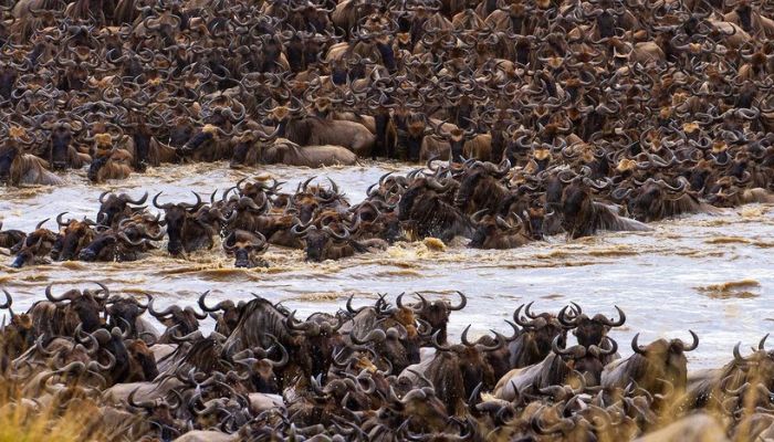 Serengeti National Park