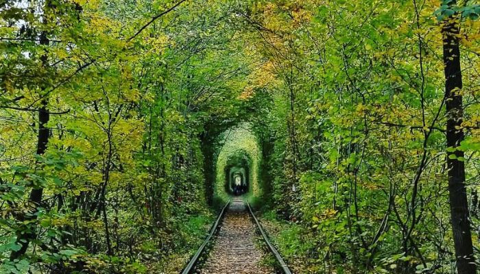 Tunnel of Love